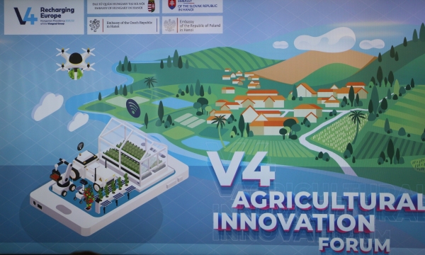 V4 Group is ready to provide agricultural solutions in the face of global challenges