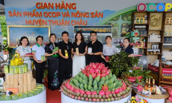 Vietnam SPS Office to strengthen support for export of agricultural products