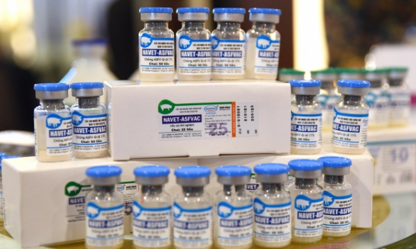 Vietnam officially announces successful production of a vaccine against African Swine Fever
