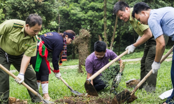 Vietnam - a ‘bright star’ in combating land degradation