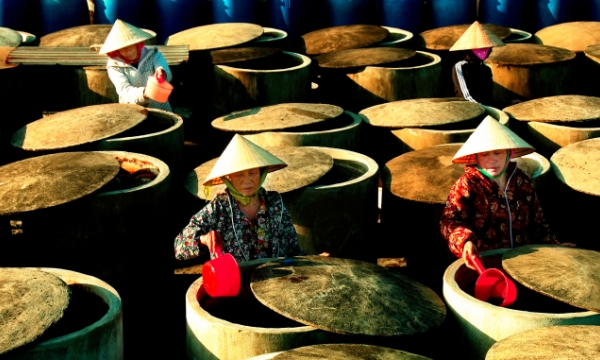 Establishing a national brand for Vietnamese fish sauce