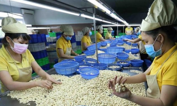 Binh Phuoc Province requests list of enterprises of agriculural export to China