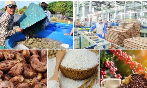 Broad investment opportunities for EU enterprise into Vietnam’s agriculture