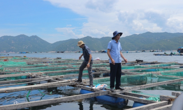 Marine aquaculture faces numerous challenges
