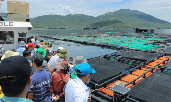 Sustainable development of mariculture to adapt to climate change