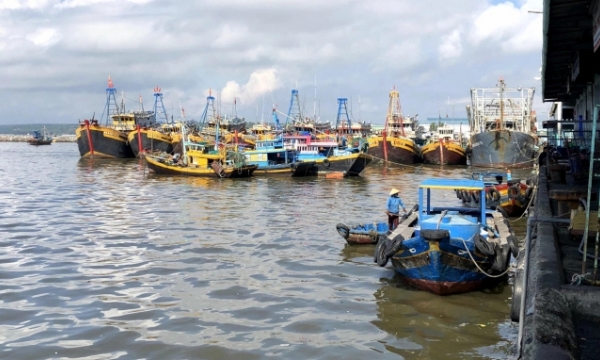 Binh Thuan does not allow fishing vessels to violate foreign waters