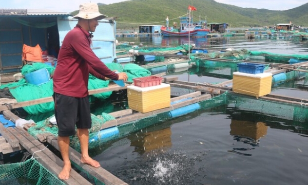 Commodity associations aid in the growth of a sustainable seafood value chain