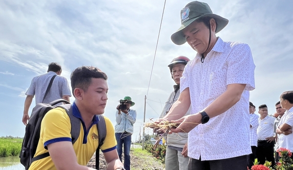 Ca Mau shrimp-rice farming certificated on responsible aquaculture