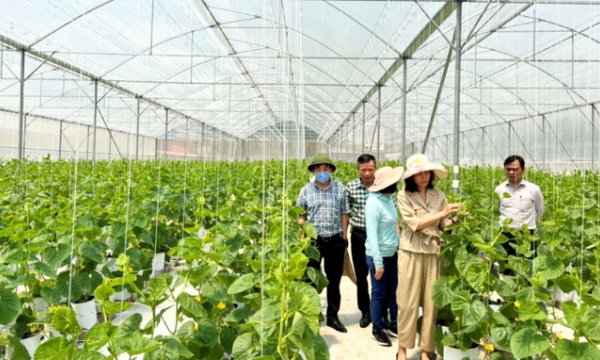 Developing model new countryside in tandem with agricultural restructuring