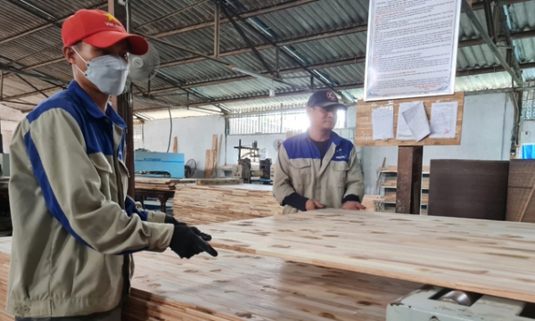 Nghe An to turn wood processing into a dynamic economic sector