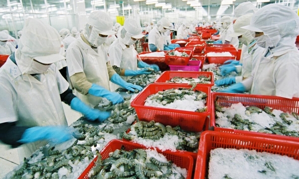 Just 10 months, seafood exports set many new records