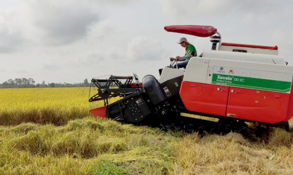 Vietnam's rice exports may reach 7 million tons again