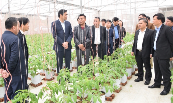 Nghe An improves agricultural, forestry, and fishery products