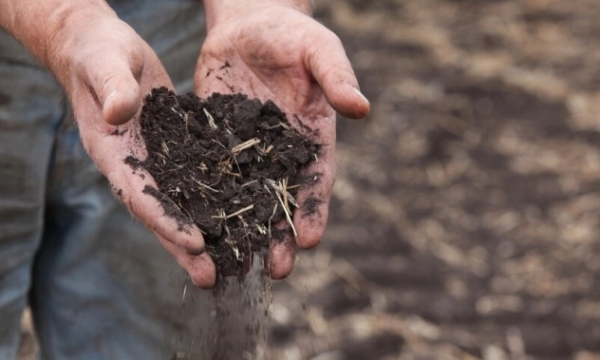 Improving soil health to uplift agricultural sustainability