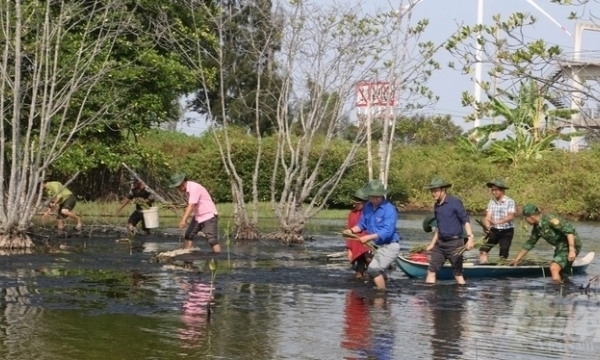 AFoCO accompanies Vietnam’s forestry in strengthening climate resilience