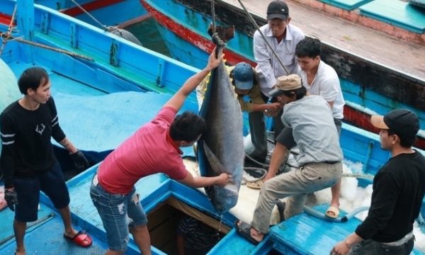 Khanh Hoa aims to eliminate illegal fishing vessels by the end of May