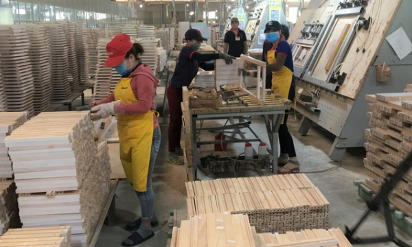 Wood industry in Binh Dinh province is expected to prosper in the last 6 months