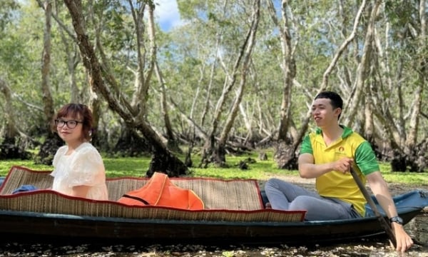 Enriching and professionalizing mangrove forest ecotourism
