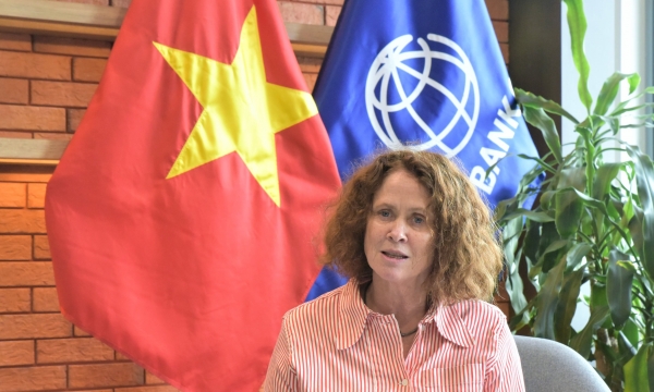 World Bank works with Vietnam to gain deeper understanding of critical challenges in forestry sector