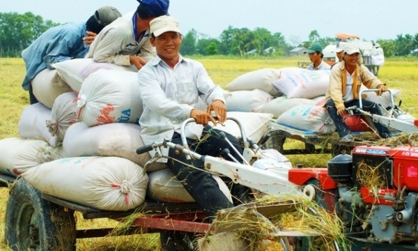 Cooperatives need effective solutions for receive support in time