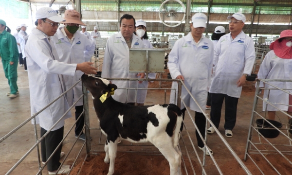 Multiple large-scale livestock projects are initiated in Tay Ninh