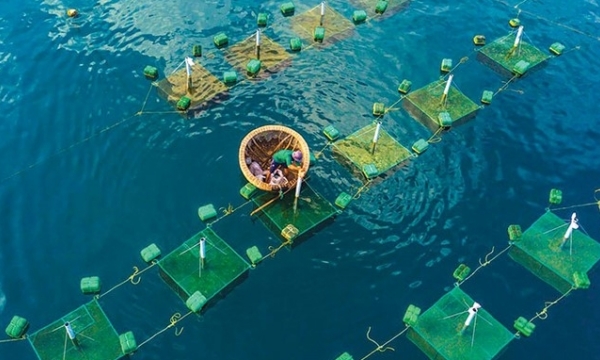 Five actions to develop marine farming associated with ecotourism