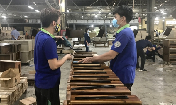 Vietnam's wood industry strives to find new markets