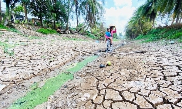 Expert Nguyen Huu Thien: 'El Nino returns, making the drought and salinity more severe in 2024'