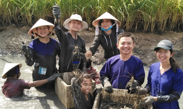 The 6s standards and organic rice production in Vietnam