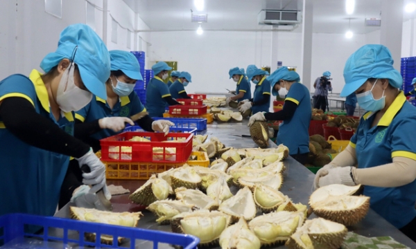Binh Phuoc to promote the development of agricultural processing