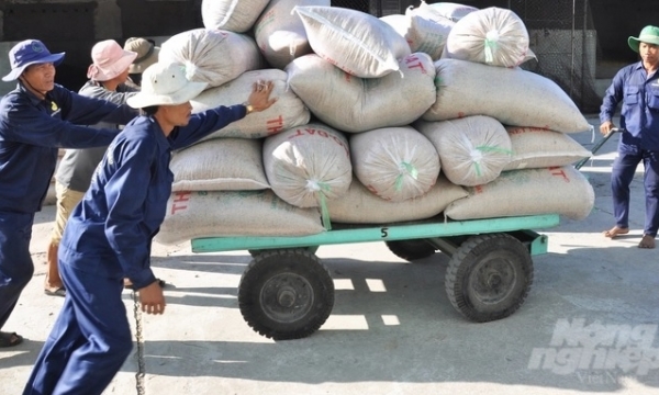 Vietnam is ready to supply affordable rice in long-term to the Philippines