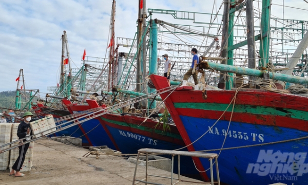 Drastic actions must be taken to remove Vietnam's IUU yellow card