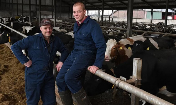 Dutch agricultural sector: We face a crisis that we have never faced before