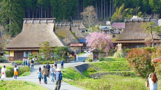 Rural tourism experience of Japanese agricultural cooperatives