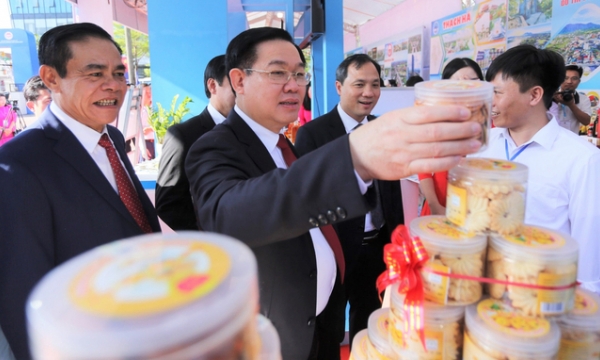Development of Ha Tinh requires drastic cooperation and solutions