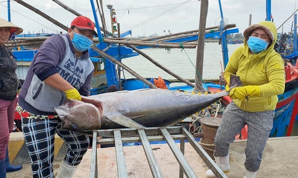 Japan becomes the largest market for Vietnamese seafood