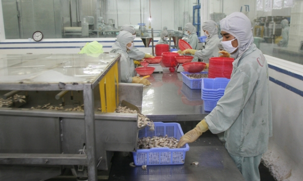 Production, food safety, processing and market must be tightly linked