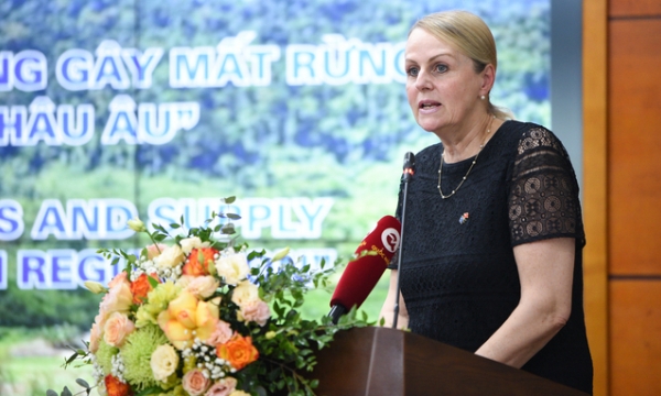 The Europe Union is ready to support Vietnam in implementing EUDR