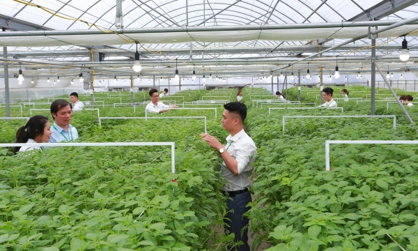 Vietnam National University of Agriculture collaborates in the training of human resources for businesses