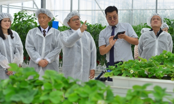Thiết lập chuỗi giá trị nông sản thông minh và an toàn tại Việt Nam
