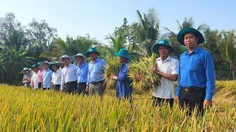 Survey 10,000 farmers to create the rice production dataset