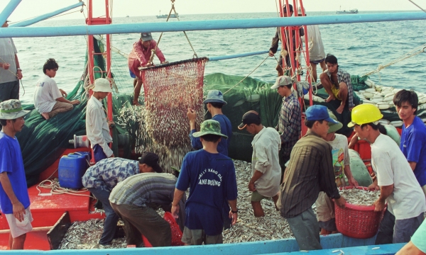 The widespread of fishing vessels turning off and dismantling their VMS devices remains