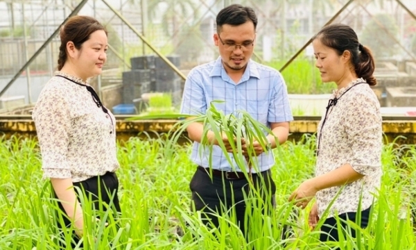 Mekong Delta Rice Research Institute - National rice science center