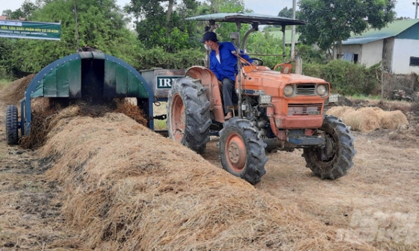 IRRI guides farmers in producing organic fertilizer from straw