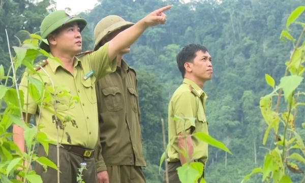 Improve forest fires prevention and fighting at grassroots level