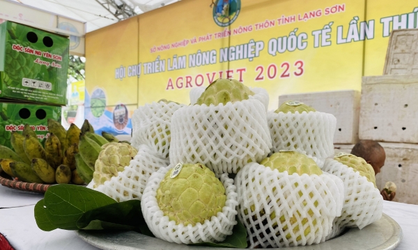 Khai mạc Hội chợ triển lãm Nông nghiệp Quốc tế lần thứ 23 - AgroViet 2023