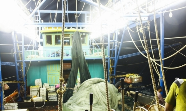 Excellent economic efficacy utilizing LED lights for offshore fishing