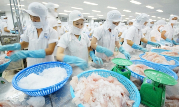 Positive news from the United States market regarding Pangasius