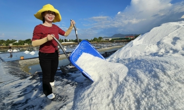 Producing clean salt on HDPE sheets enhances productivity and doubles the selling price