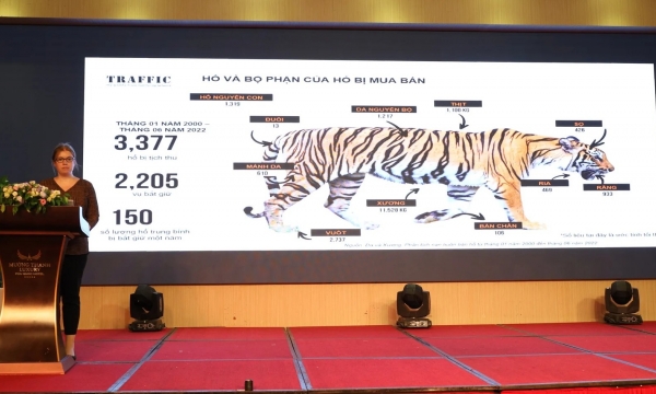 Viet Nam convenes experts for improved management of captive tigers